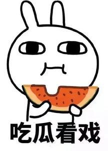 吃瓜娱乐简介句子,吃瓜群众眼中的明星幕后故事